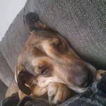 William Scott Milam - @oneminlate - Instagram