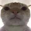 Will Minnick - @will.minnick - TikTok