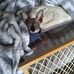 Willie Minshew - Facebook