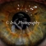 William Misener - @iris_photography111 - Instagram
