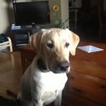 William Misener - @williammisener - Instagram