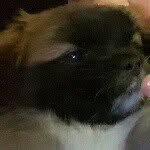 zachary William moats - @zackmoats - Instagram