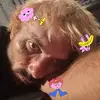 William Modglin - @william.modglin2 - TikTok