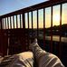 William Modin - Facebook