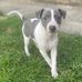 William Moffitt - Facebook