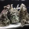 William Moffitt - @william.moffitt6 - TikTok