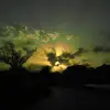 williammediamolle - @williammediamolle - TikTok