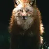 williammoller820 - @williammoller820 - TikTok