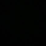 will_m - @williammolnar1 - Instagram
