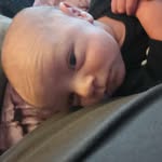 William John Simonelli Jr. - @simonellijr.william - Instagram