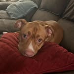 William Monette - @monette2857 - Instagram