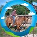 William Monforte - Facebook