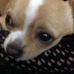 William Mongrain - Facebook