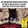 William Monier - @williammonier - TikTok
