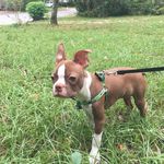 William Robert Monismith - @williamrobertmonismith - Instagram