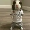 William - @williammontes98 - TikTok