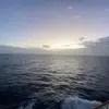 wf1259 - @william.fiermonti - TikTok