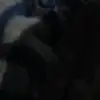 will - @williammoore4937 - TikTok