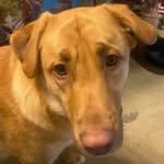 William George Morefield - @william.morefield - Instagram