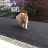 will.morehouse - @will.morehouse - TikTok