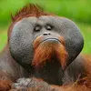 William - @william.morrow7 - TikTok