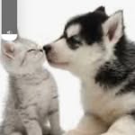 William mrozowski - @williammrozowski - Instagram