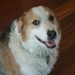 William Mullan - @dance_dad_mullan_ - Instagram