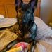 William Mulvey - Facebook