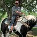 Will Muncy - Facebook