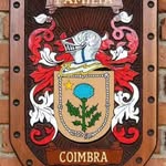 William Coimbra - @williammunfordcoimbra - Instagram