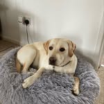 William Munford - @jimthing4394 - Instagram