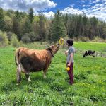 William Mussman - @dear_rincon - Instagram