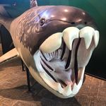 William muzzy - @muzzy9531 - Instagram