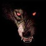 William Nancarrow - @williamnancarrow - Instagram