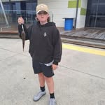 William Nancarrow - @nancarrowwilliam - Instagram
