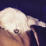 @william_nava_ - Instagram