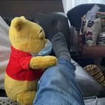 William Neel - @williamneel - Instagram