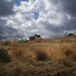 William Negri - @negriwilliam - Instagram