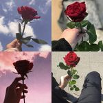 William Neira - @william.neira.35 - Instagram