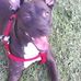 William Neitzel - Facebook