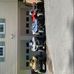 William Nemec - Facebook