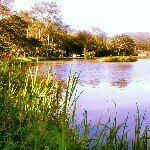 @william_netto - Instagram