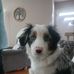 William Neuman - Facebook