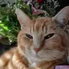 William Neubauer - @salty4546 - TikTok