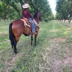 WilliamNevarez - @williamnevarez6 - Instagram