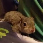 william nevins - @williamgaming098 - Instagram