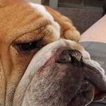William Newberry - @wmnewberry - Instagram