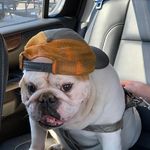 william newberry - @wmnewberry8824 - Instagram
