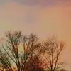 William_w_hall - @william_w_hall - TikTok