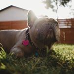 William Newson - @william_newman3245 - Instagram
